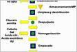 Diagrama de flujo elaboración guacamole. Download Scientific